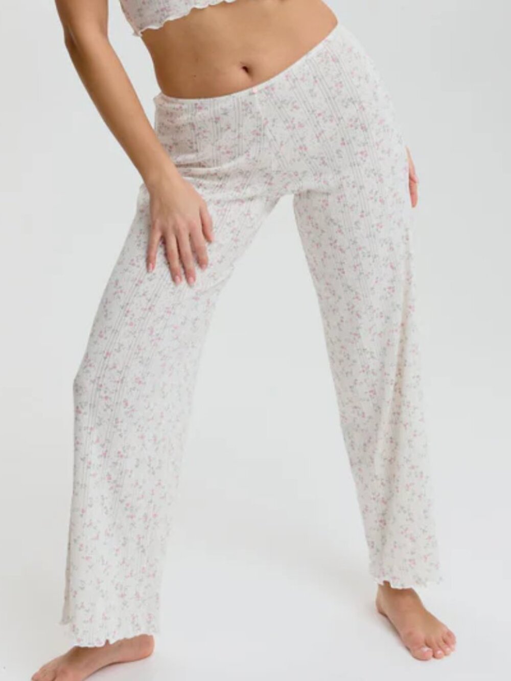 blush lingerie Dream cotton pointelle pant